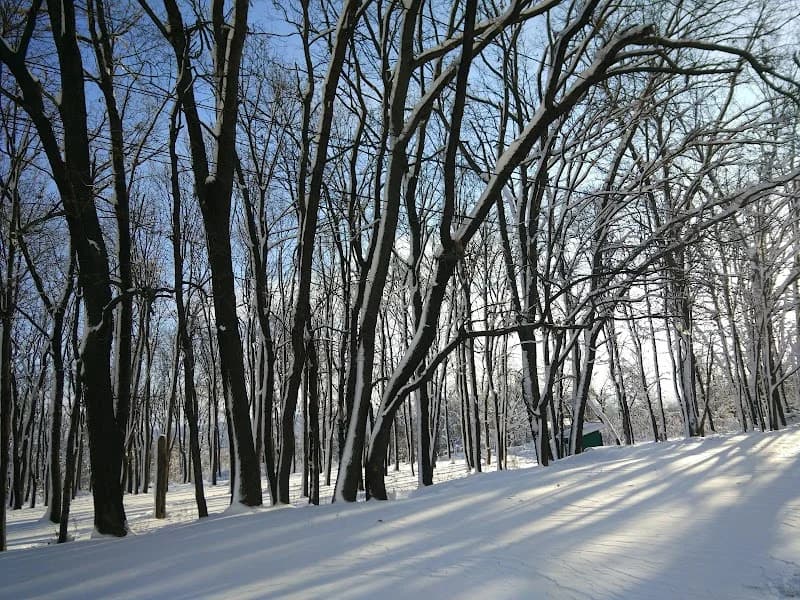 Parcul Bacioii Noi — Кишинёв — фото 1