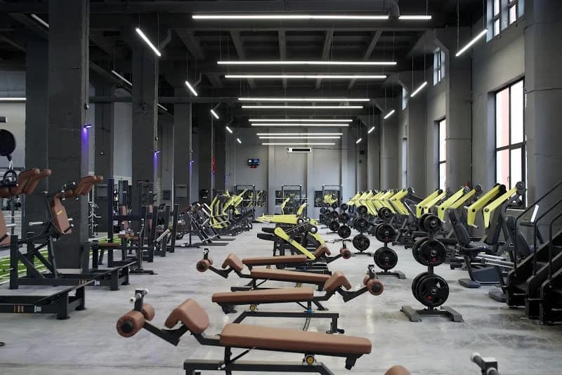 BIGSPORT GYM ALFA City Shopping Mall — Кишинёв — фото 1