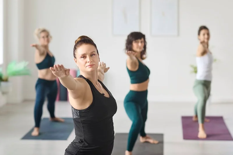 Ansuya Yoga Centre — Кишинёв — фото 1