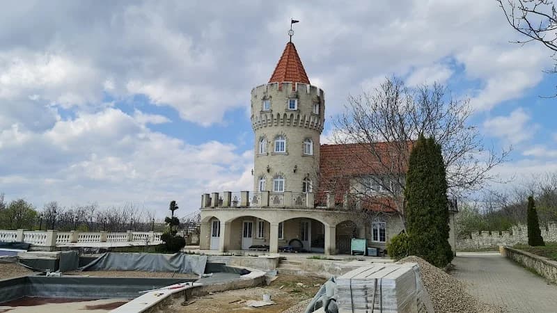 Chateau Sobor — Кишинёв — фото 1